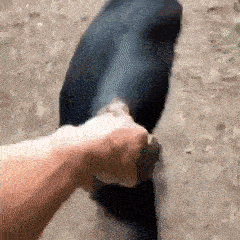 Image/photo